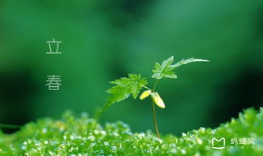 端午节是几月份几号(立春是几月几号)