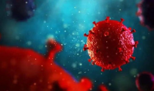 新冠病毒最早发现者？病毒的发现者