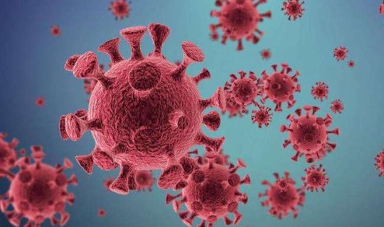 现在还有哪些国家没有新冠病毒 世界唯一没有新冠病毒的国家