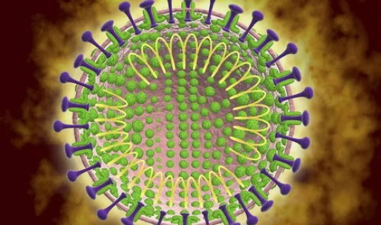 新型冠状病毒谁是第一个出现的？新型冠状病毒是谁发现的
