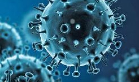 新型冠状病毒变异毒株德尔塔区别?冠状病毒怎么来的 新型冠状病毒变异毒株德尔塔区别?冠状病毒怎么来的