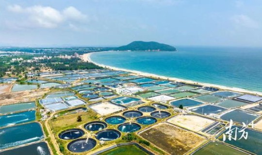 广东阳西发展前景 广东省阳西县