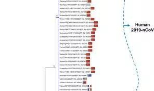 病毒基因测序价格？基因测序结果怎么看
