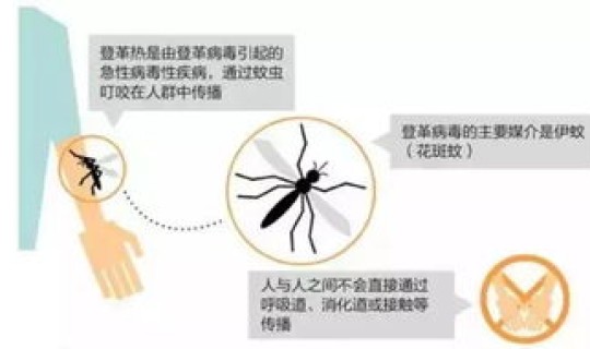 登革热病例监测指南，登革热需与哪些疾病进行鉴别