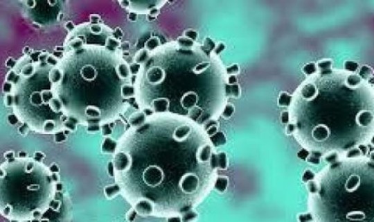 美国新冠死亡人数减少(新冠病毒的死亡率)