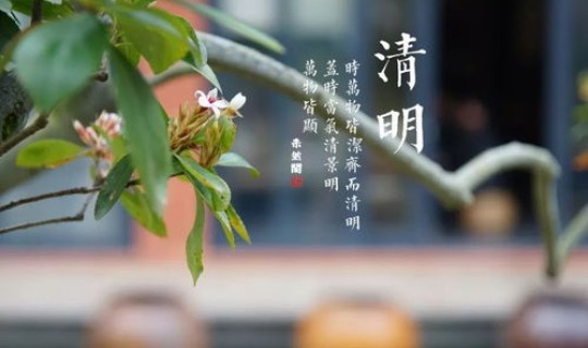 端午节是几月几日是几月几日呢 2019清明节是几月几日