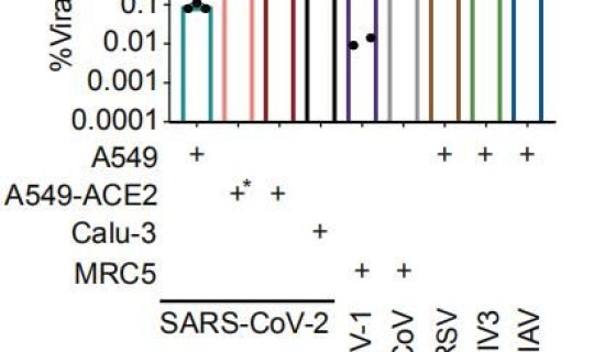 新冠病毒最先发现时间，新冠病毒最早发现的地点和时间