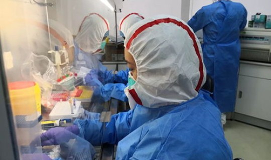 上海目前已感染多少人(上海最近的病毒感染是什么情况)