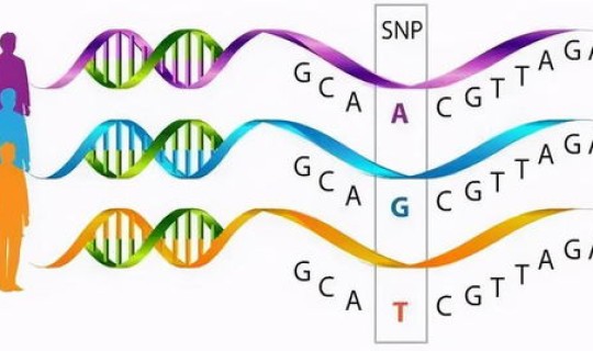 病毒的基因测序需要多久，个人基因测序多少钱