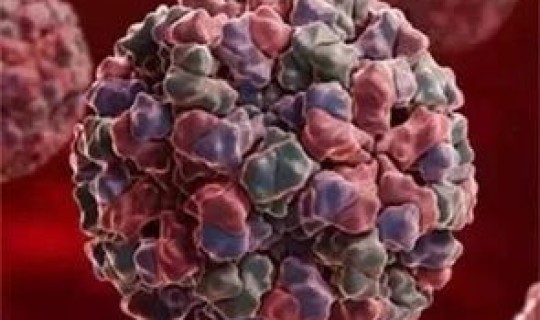 江苏 感染 江苏出现什么病毒 江苏 感染 江苏出现什么病毒