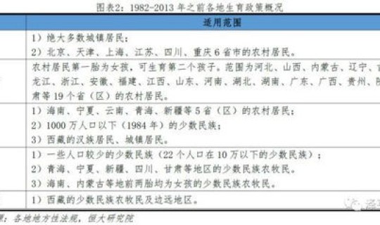 返乡政策细则，二孩政策实施时间