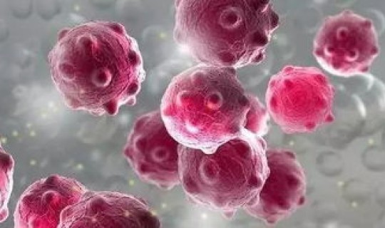 广西北海有病毒感染吗 诺如病毒感染