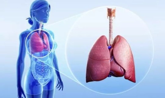 西安新型肺炎最新消息	，西安是不是发现一例新型肺炎