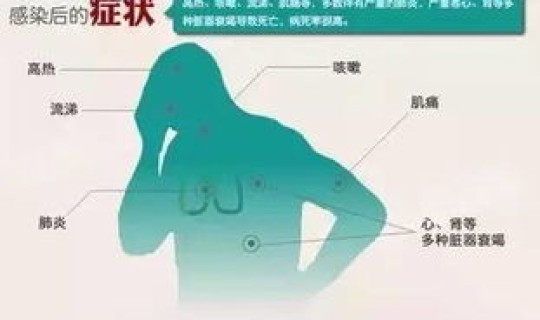 h7n9禽流感的传播途径是什么，H7N9禽流感病毒的传播途径