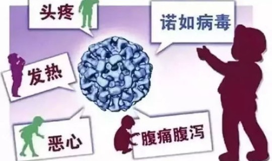 黑龙江省防控疫情通知，加强诺如病毒防控的通知