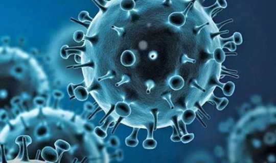 大连 新冠肺炎 新冠肺炎的症状有哪些症状