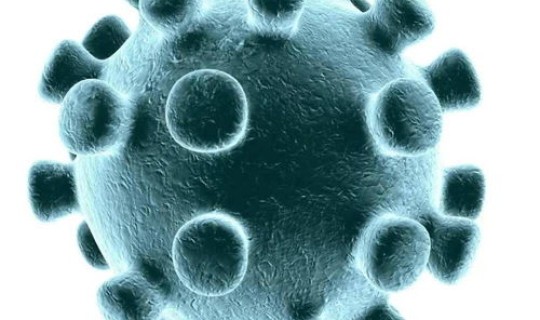 美国新冠病毒抗体最新消息 冠状病毒有什么症状