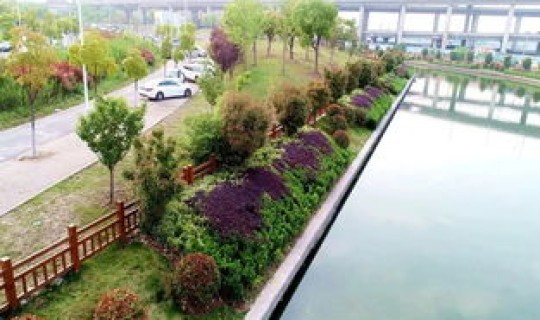 青岛绿化覆盖率(中国绿化覆盖率排名)