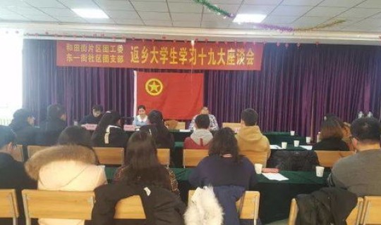 春节返乡政策解读心得体会(返乡学生心得体会600字)