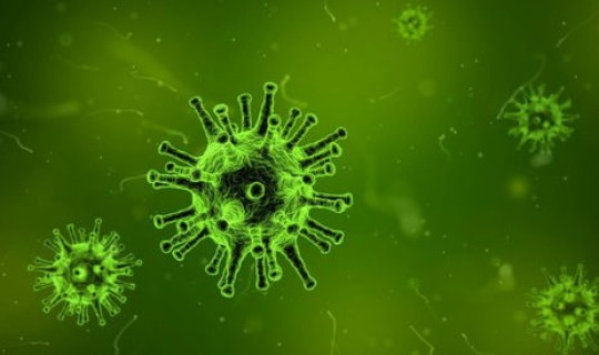 新冠病毒会不会与人类共存生活呢 病毒和细菌可以共存吗