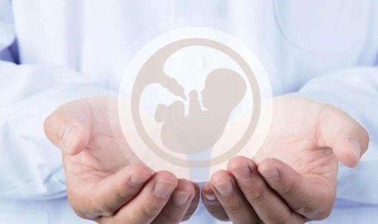 试管婴儿长大后的弊端，为什么不建议女性做试管婴儿