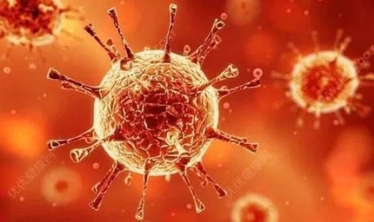 营口零号病毒(16号病毒是什么病毒)