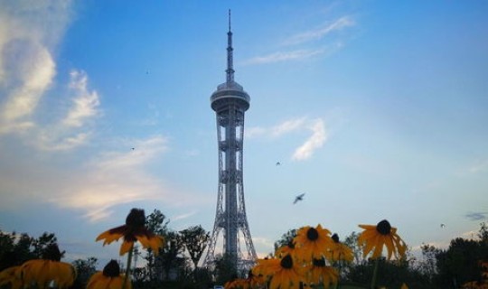 河南省修武县今日新闻？河南昨天今日重大新闻