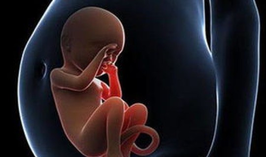 我国第一例试管婴儿是哪一年 我想做试管生一个男孩