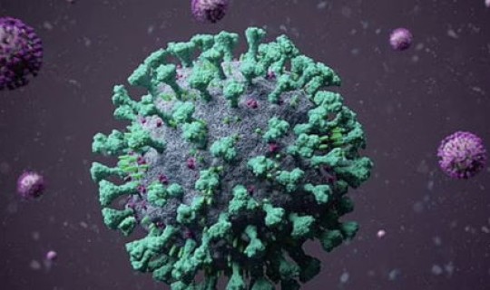 新冠病毒跟人类共存多久 病毒和抗体可以共存吗