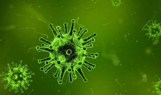 无锡又发现新新冠病毒是真的吗(现在有没有新冠病毒)