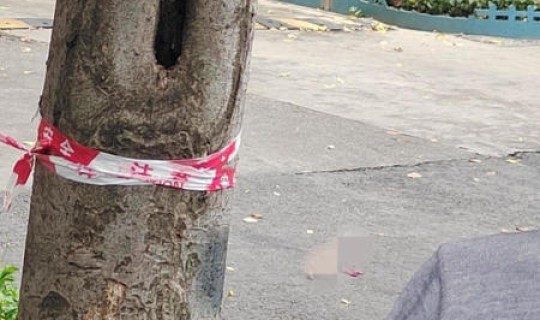 男子坠亡被谣传为命案？男子坠亡