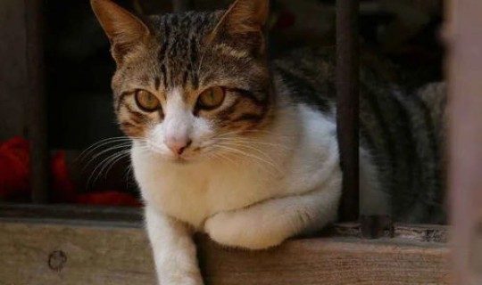 重大危险源一共分为几级(重大危险源分为哪四级)