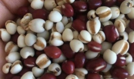 马来西亚疫情很严重了吗现在，马来西亚饮食禁忌