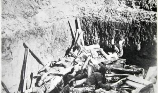 鼠疫 死多少人 得了鼠疫会死吗