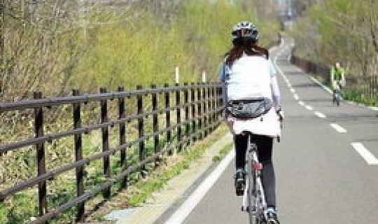 西安市限行规定处罚标准最新？西安最新限号规定