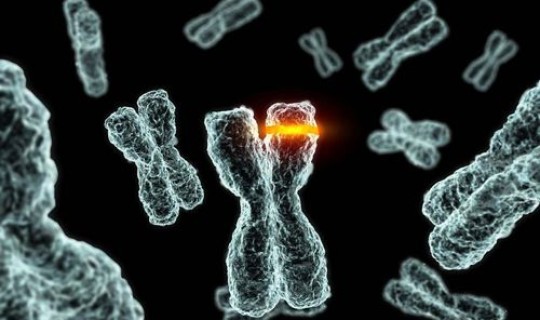 病毒突变率高的原因(基因突变率越高越好吗)