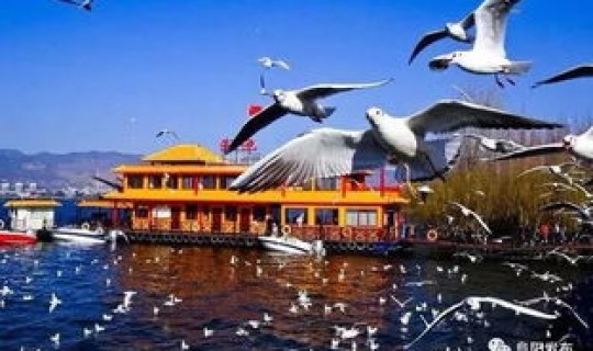 阳江在粤西吗？阳江属于湛江吗