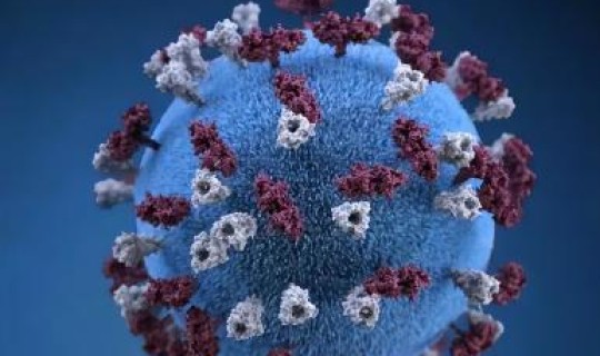 病毒变异最新消息，最近新出的病毒