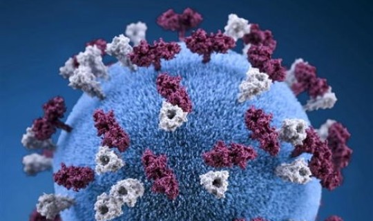 德尔塔变异新冠病毒症状早期表现(新冠变异病毒最新症状)