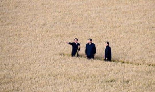 黑龙江出现一例	，黑龙江真正由来