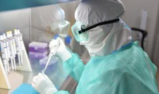 葫芦岛确诊病例 辽宁现有确诊病例