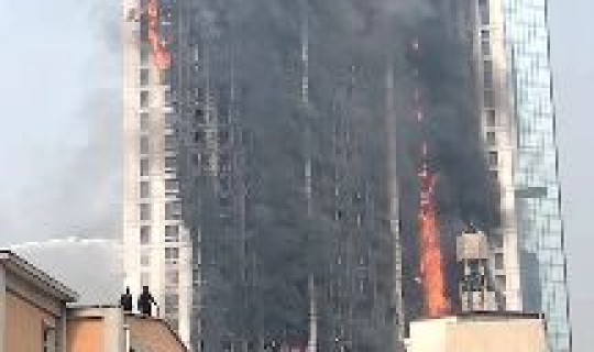 石家庄什么原因疫情 石家庄为什么突然疫情爆发