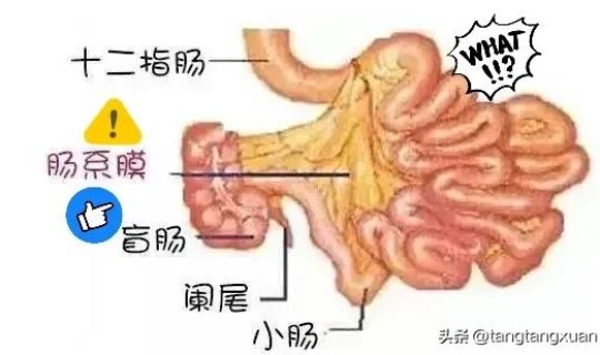肠系膜淋巴结炎都有哪些症状？肠系膜淋巴结炎的症状