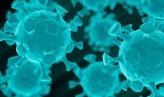 全球无新冠肺炎疫情的国家有几个 新冠肺炎全世界一共死亡多少人？