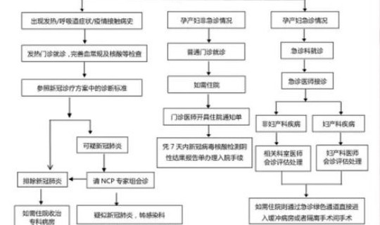 石家庄疫情期间医院就诊流程(疫情处置流程)