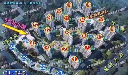 辛集现在能进吗2021(2021辛集客运最新情况)