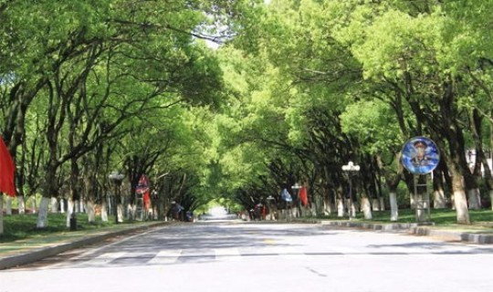 军校广东录取分数线，陆军步兵学院广东录取分数线