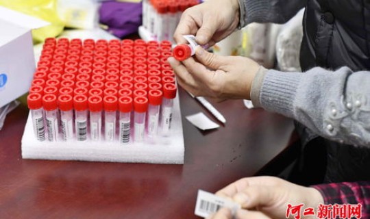 河北新增90例本土确诊在哪里？河北本土有什么茶叶