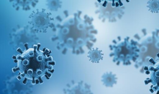 美国新冠疫情最新实时报道，新冠病毒最新消息