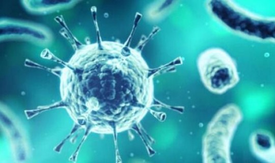 德尔塔病毒近况？世界10大病毒